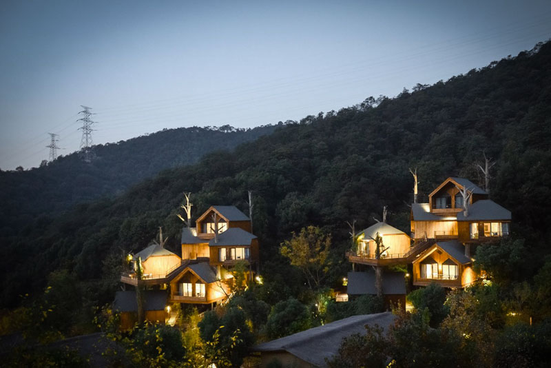 网红"树上酒店"走红